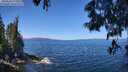 ./images/koeye/fitz-hugh/20250608/fitz-hugh20250608_113509M.jpg
