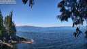 ./images/koeye/fitz-hugh/20250608/fitz-hugh20250608_114009M.jpg