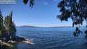 ./images/koeye/fitz-hugh/20250608/fitz-hugh20250608_114510M.jpg