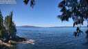 ./images/koeye/fitz-hugh/20250608/fitz-hugh20250608_115010M.jpg