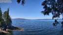 ./images/koeye/fitz-hugh/20250608/fitz-hugh20250608_115510M.jpg