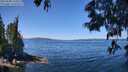 ./images/koeye/fitz-hugh/20250608/fitz-hugh20250608_120509M.jpg