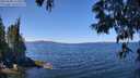 ./images/koeye/fitz-hugh/20250608/fitz-hugh20250608_122508M.jpg