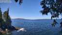 ./images/koeye/fitz-hugh/20250608/fitz-hugh20250608_123011M.jpg
