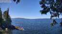 ./images/koeye/fitz-hugh/20250608/fitz-hugh20250608_123510M.jpg