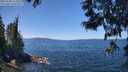./images/koeye/fitz-hugh/20250608/fitz-hugh20250608_124511M.jpg