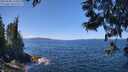 ./images/koeye/fitz-hugh/20250608/fitz-hugh20250608_125010M.jpg