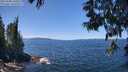 ./images/koeye/fitz-hugh/20250608/fitz-hugh20250608_130013M.jpg