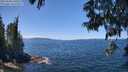 ./images/koeye/fitz-hugh/20250608/fitz-hugh20250608_130511M.jpg
