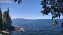 ./images/koeye/fitz-hugh/20250608/fitz-hugh20250608_131012M.jpg