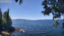 ./images/koeye/fitz-hugh/20250608/fitz-hugh20250608_132009M.jpg