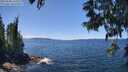 ./images/koeye/fitz-hugh/20250608/fitz-hugh20250608_132510M.jpg
