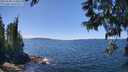 ./images/koeye/fitz-hugh/20250608/fitz-hugh20250608_133011M.jpg