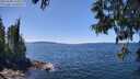 ./images/koeye/fitz-hugh/20250608/fitz-hugh20250608_134511M.jpg