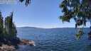 ./images/koeye/fitz-hugh/20250608/fitz-hugh20250608_135011M.jpg