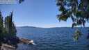 ./images/koeye/fitz-hugh/20250608/fitz-hugh20250608_135510M.jpg