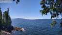 ./images/koeye/fitz-hugh/20250608/fitz-hugh20250608_140011M.jpg