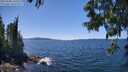 ./images/koeye/fitz-hugh/20250608/fitz-hugh20250608_140509M.jpg