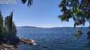 ./images/koeye/fitz-hugh/20250608/fitz-hugh20250608_141010M.jpg