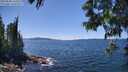 ./images/koeye/fitz-hugh/20250608/fitz-hugh20250608_141511M.jpg