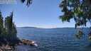 ./images/koeye/fitz-hugh/20250608/fitz-hugh20250608_142509M.jpg
