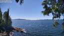 ./images/koeye/fitz-hugh/20250608/fitz-hugh20250608_143510M.jpg