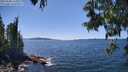 ./images/koeye/fitz-hugh/20250608/fitz-hugh20250608_144009M.jpg