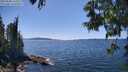 ./images/koeye/fitz-hugh/20250608/fitz-hugh20250608_144510M.jpg