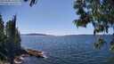 ./images/koeye/fitz-hugh/20250608/fitz-hugh20250608_145510M.jpg