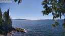 ./images/koeye/fitz-hugh/20250608/fitz-hugh20250608_150012M.jpg