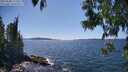 ./images/koeye/fitz-hugh/20250608/fitz-hugh20250608_151010M.jpg