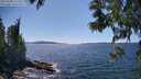 ./images/koeye/fitz-hugh/20250608/fitz-hugh20250608_151510M.jpg