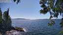 ./images/koeye/fitz-hugh/20250608/fitz-hugh20250608_152008M.jpg