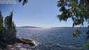 ./images/koeye/fitz-hugh/20250608/fitz-hugh20250608_153509M.jpg