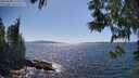 ./images/koeye/fitz-hugh/20250608/fitz-hugh20250608_154510M.jpg
