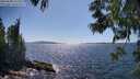 ./images/koeye/fitz-hugh/20250608/fitz-hugh20250608_155510M.jpg