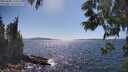 ./images/koeye/fitz-hugh/20250608/fitz-hugh20250608_160012M.jpg