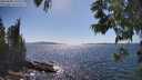 ./images/koeye/fitz-hugh/20250608/fitz-hugh20250608_160510M.jpg