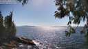 ./images/koeye/fitz-hugh/20250608/fitz-hugh20250608_163510M.jpg