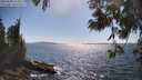 ./images/koeye/fitz-hugh/20250608/fitz-hugh20250608_164009M.jpg