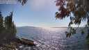 ./images/koeye/fitz-hugh/20250608/fitz-hugh20250608_164511M.jpg