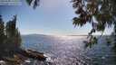 ./images/koeye/fitz-hugh/20250608/fitz-hugh20250608_165011M.jpg