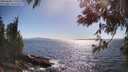 ./images/koeye/fitz-hugh/20250608/fitz-hugh20250608_170509M.jpg
