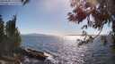 ./images/koeye/fitz-hugh/20250608/fitz-hugh20250608_171011M.jpg