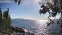 ./images/koeye/fitz-hugh/20250608/fitz-hugh20250608_173012M.jpg