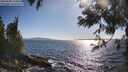 ./images/koeye/fitz-hugh/20250608/fitz-hugh20250608_174511M.jpg