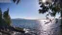 ./images/koeye/fitz-hugh/20250608/fitz-hugh20250608_181011M.jpg