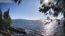 ./images/koeye/fitz-hugh/20250608/fitz-hugh20250608_181511M.jpg