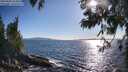 ./images/koeye/fitz-hugh/20250608/fitz-hugh20250608_182011M.jpg
