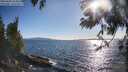 ./images/koeye/fitz-hugh/20250608/fitz-hugh20250608_183011M.jpg